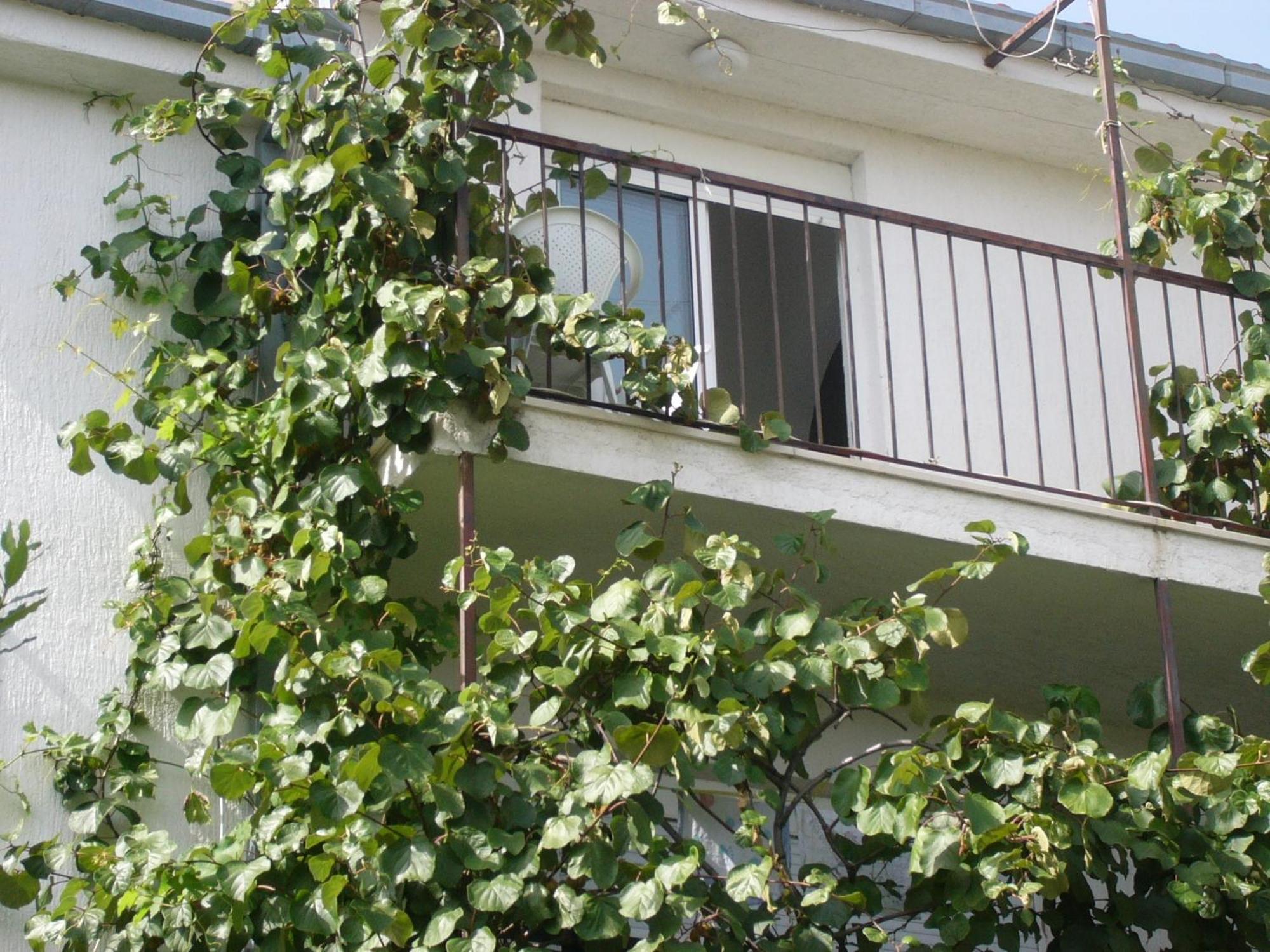 Apartments Prizmic Podstrana Ngoại thất bức ảnh